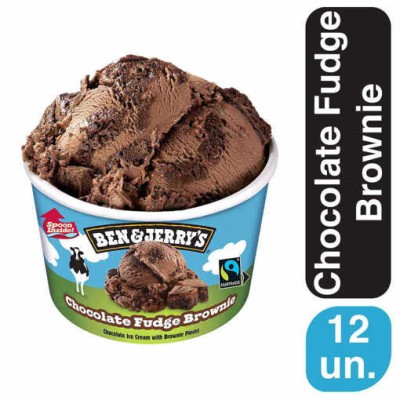 Ben & Jerry's Chocolate Fudge Brownie 12x100ml