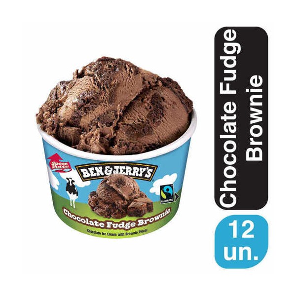Ben & Jerry's Chocolate Fudge Brownie 12x100ml