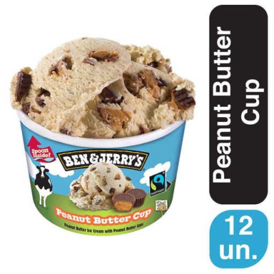 Ben & Jerry's Peanut Butter 12x100ml