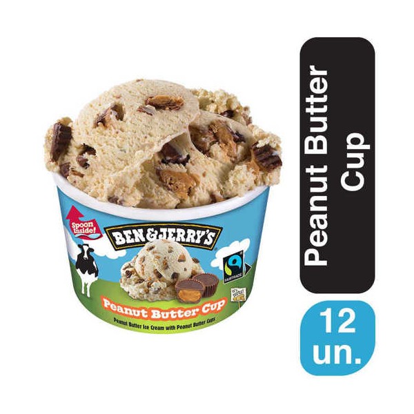 Ben & Jerry's Peanut Butter 12x100ml