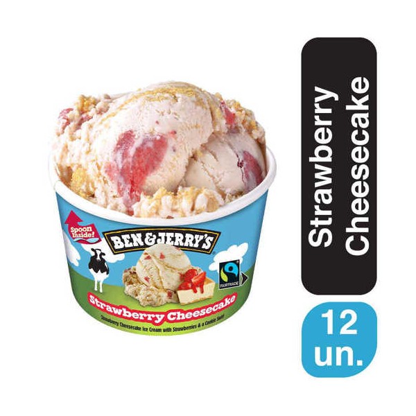 Ben & Jerry's Strawberry Cheesecake 12x100ml