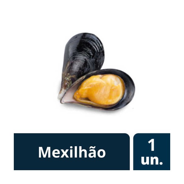 Mexilhao 1/2 Concha (20/30) "Brasmar" 1Kg