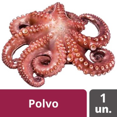 Polvo T8 "SoliComa" 12Kg