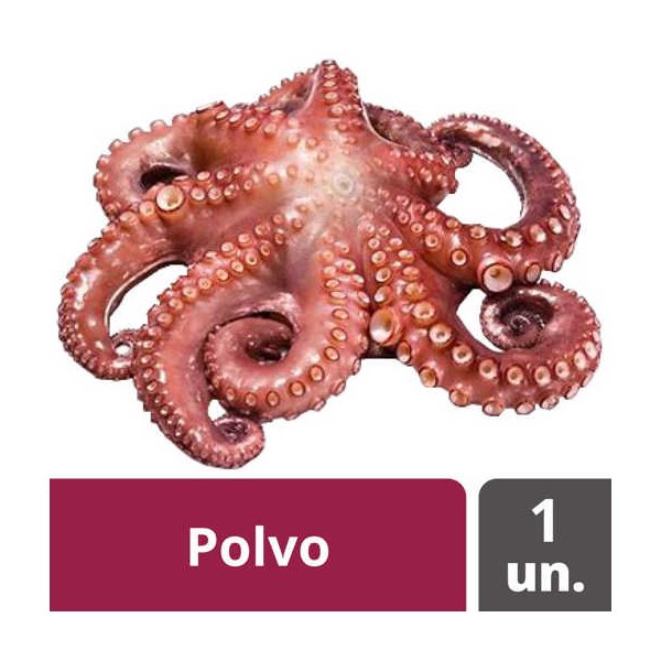 Polvo T8 "SoliComa" 12Kg