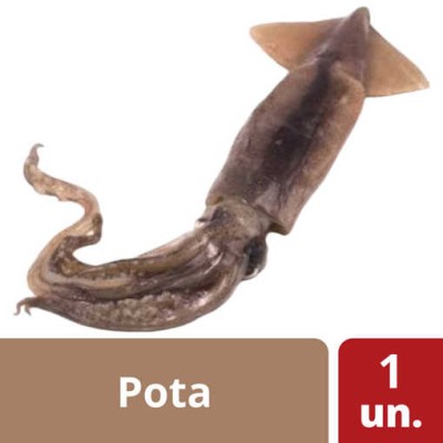 Pota Av.16/19 Cm "CD" 6Kg