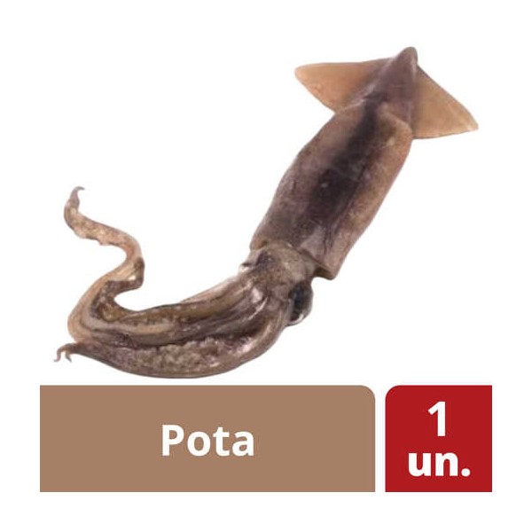 Pota Av.16/19 Cm "CD" 6Kg