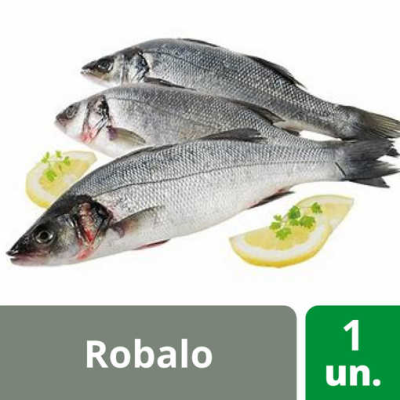 Robalo 300/400 6Kg
