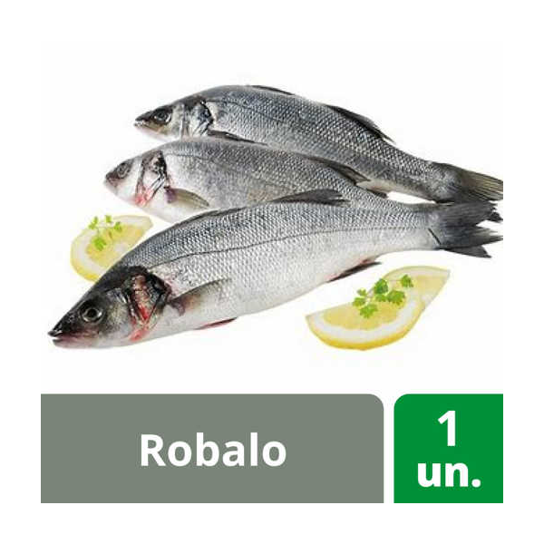 Robalo 300/400 6Kg