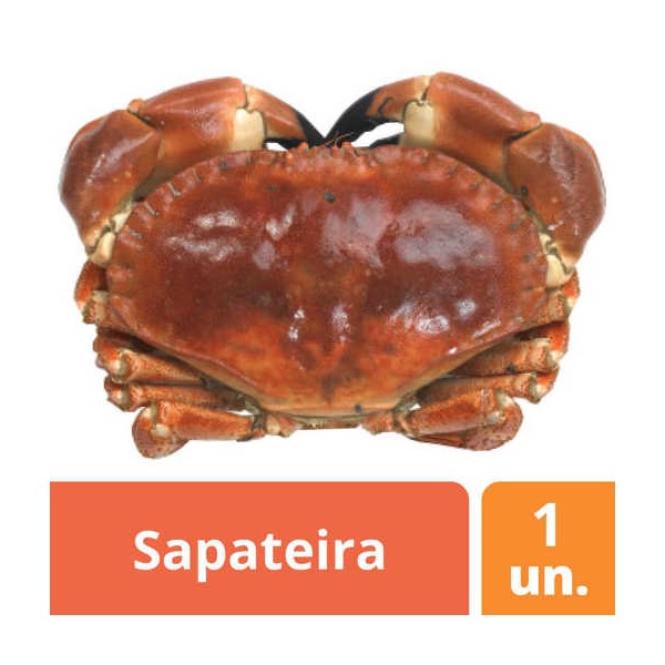 Sapateira 800+ "McDuff" kg