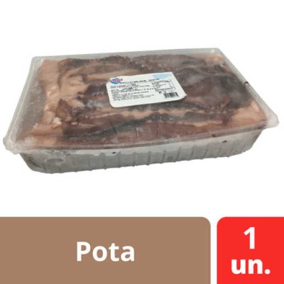 Tentaculos Pota GRANDE "Pesfasa" Kg