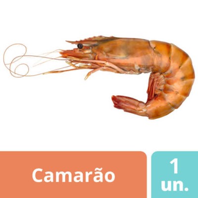 Camarão Costa Cong. Cru Nº3 "Marfresco" 1Kg