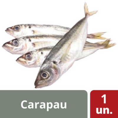 Carapau 5/8 Granel 6Kg
