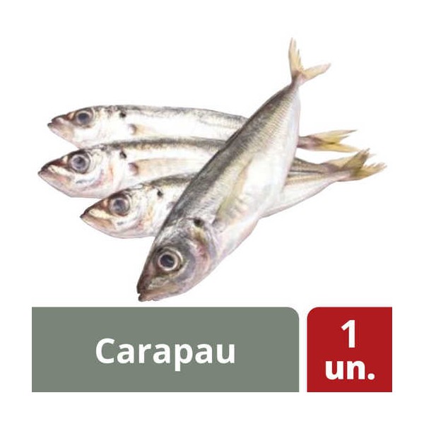 Carapau 5/8 Granel 6Kg