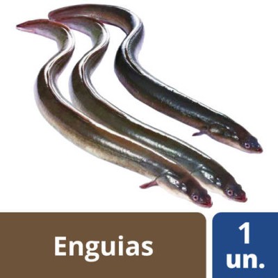 Enguias Cong Pequenas Kg