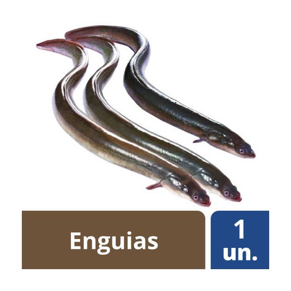 Enguias Cong Pequenas Kg
