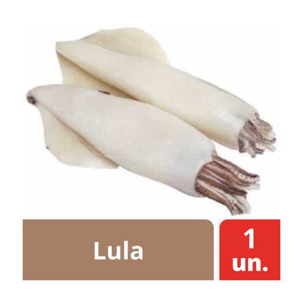 Lula 4L "Nos" 12/16 Cm Kg